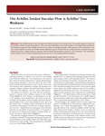 The Achiles Tendon Vascular Flow is Achiles True Weakness-Journal Article